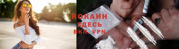 ПСИЛОЦИБИНОВЫЕ ГРИБЫ Аркадак