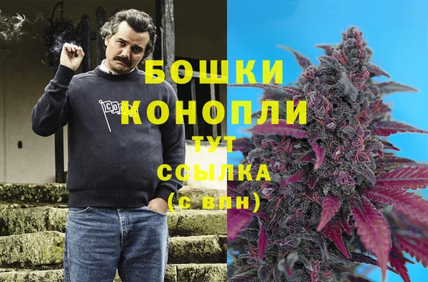 ПСИЛОЦИБИНОВЫЕ ГРИБЫ Аркадак