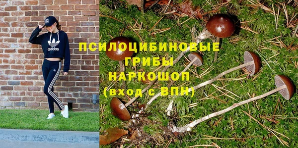 apvp Арсеньев