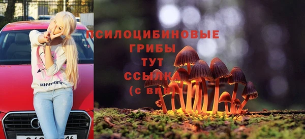 ПСИЛОЦИБИНОВЫЕ ГРИБЫ Аркадак