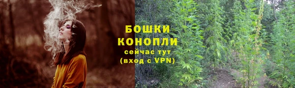 молекула духа Армянск