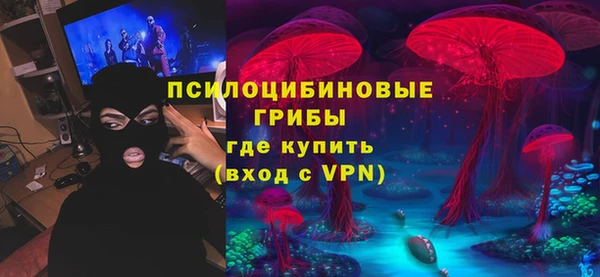 молекула духа Армянск