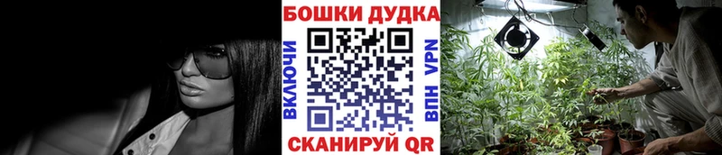 Бошки марихуана MAZAR наркотики Опочка
